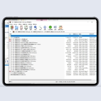 云豹1v1——【全套源码】——2025.6.31正版